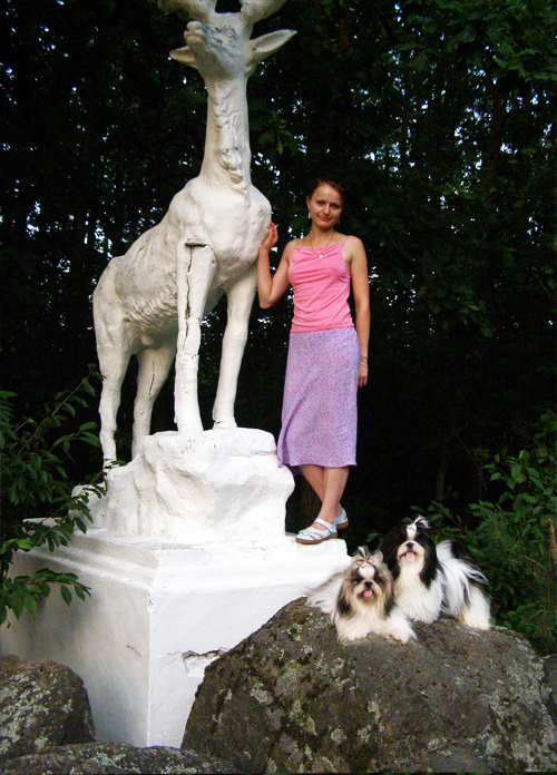 Авсянская Татьяна ши-тцу