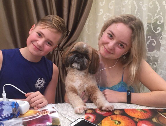 shihtzu_family_dog