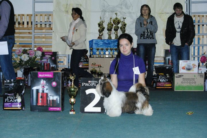 298186_246622165384026_100001087330958_744294_1224672770_n