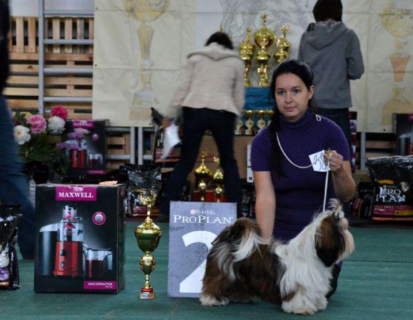 300836_247160591996850_100001087330958_746204_475122420_n