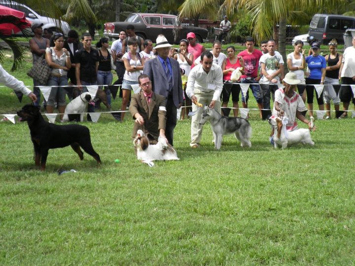 321541_252819261428240_100001005040004_674426_1757950182_n