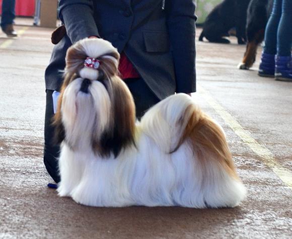 1781958_790870667593092_1667006833_n