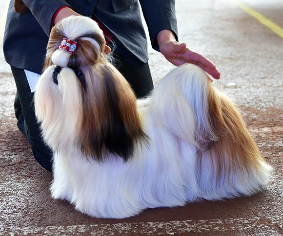 1782141_790870630926429_555769982_n