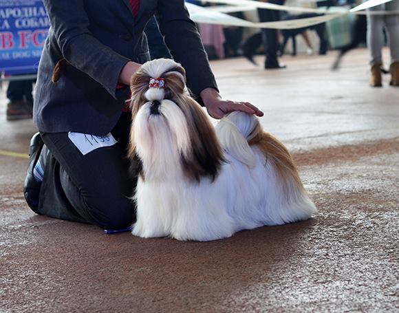 1798643_790870547593104_607600608_n