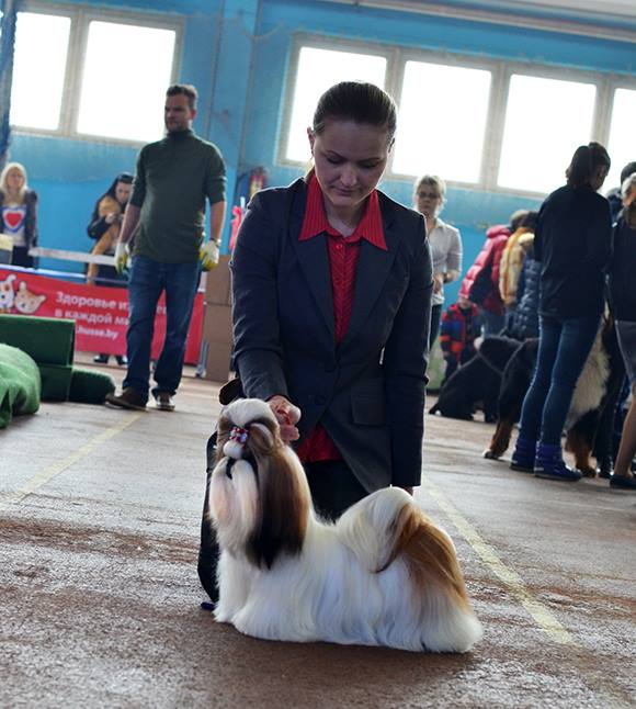 1901313_790870787593080_1350613632_n