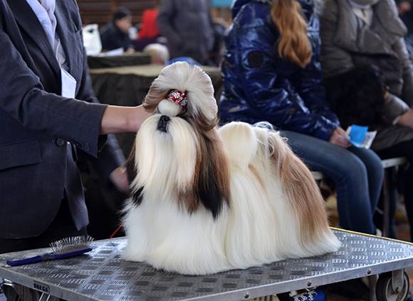 1904166_790870467593112_1222132227_n