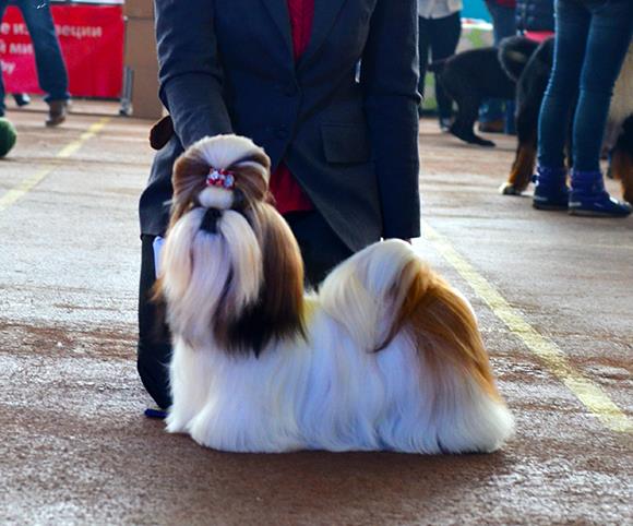 1976924_790870510926441_1537589003_n