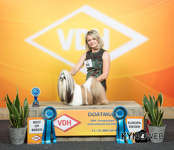 robin_europasieger_kinoweb